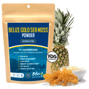 Belize Gold Sea Moss Powder